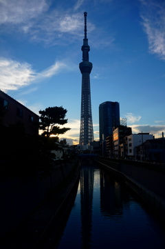逆さスカイツリー