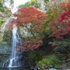 紅葉と滝No.2