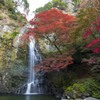 紅葉と滝No.3