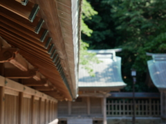 宗像大社