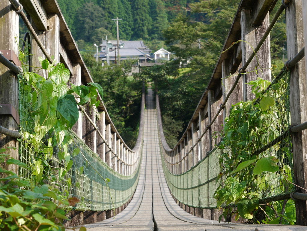 吊り橋効果？