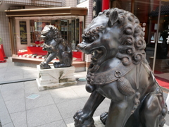 イヌ？