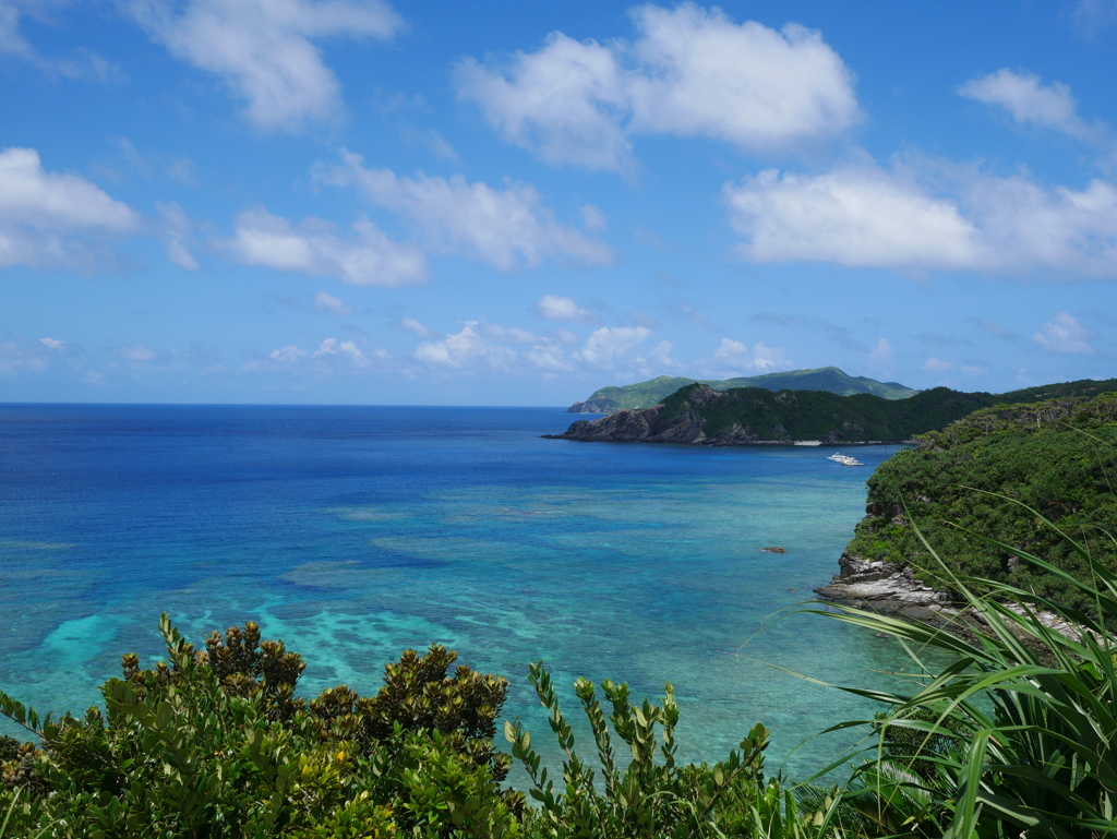 阿嘉島　西