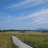 タデ原湿原　木道