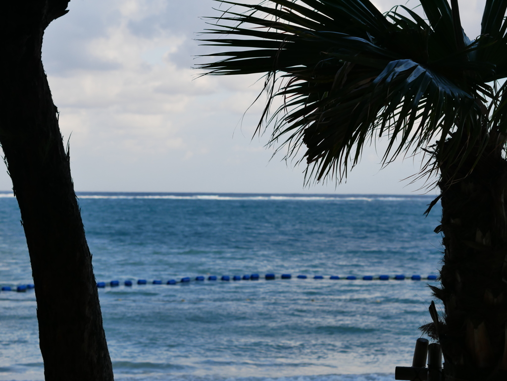 Tiger Beach