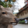 宮島