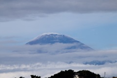 初冠雪の富士山