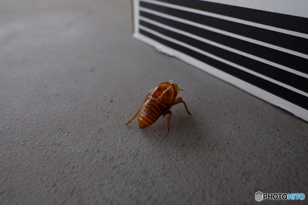 アパートの廊下に