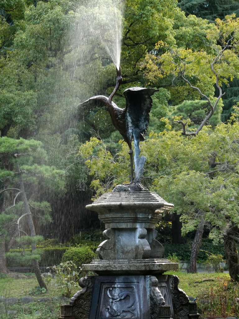 カワセミさんを探して