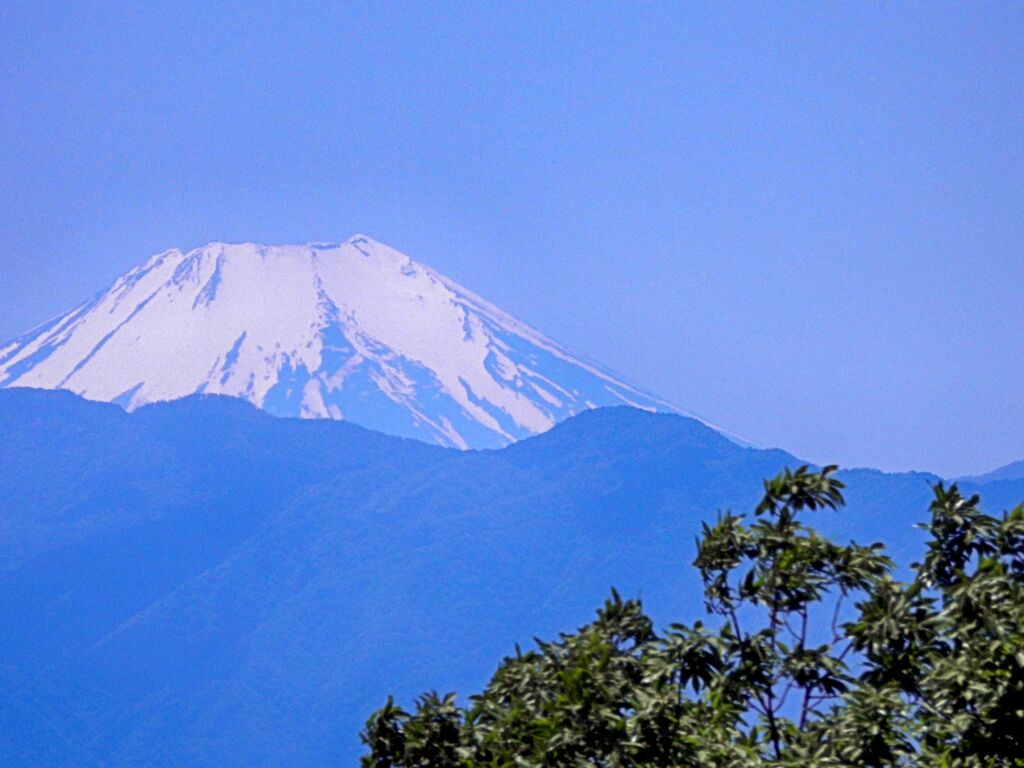 5月10日の富士山