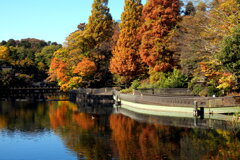 弁天池の紅葉