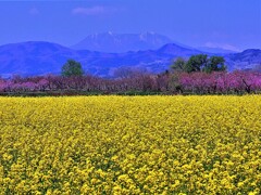 信濃の春