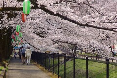 下落合橋にて