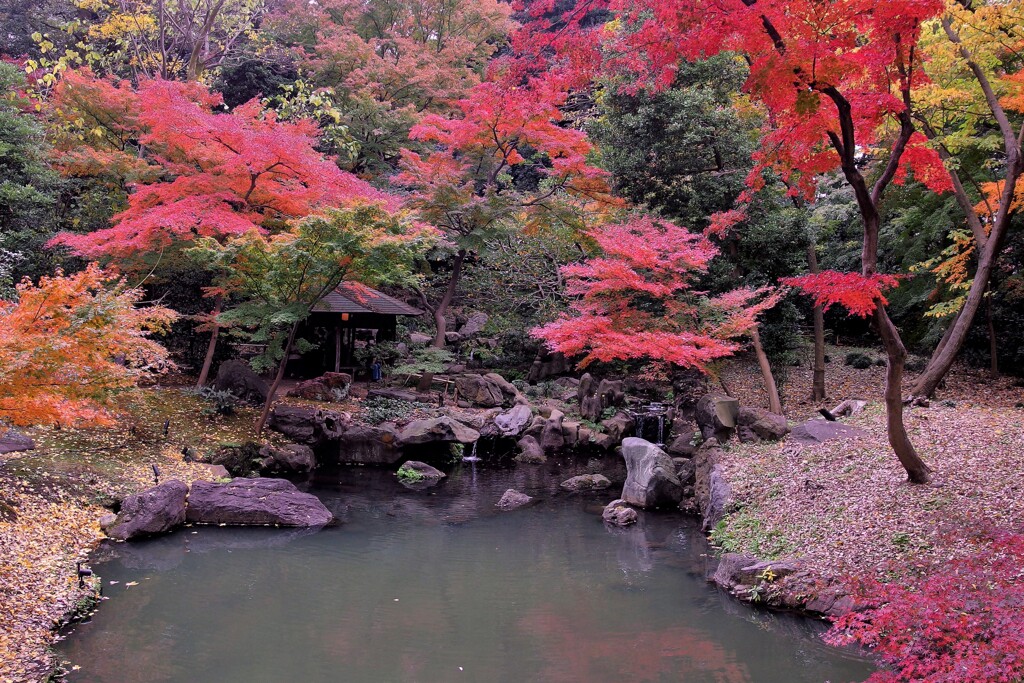 千鳥橋から滝見茶屋を望む