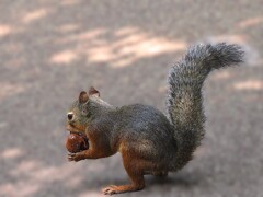 お食事中