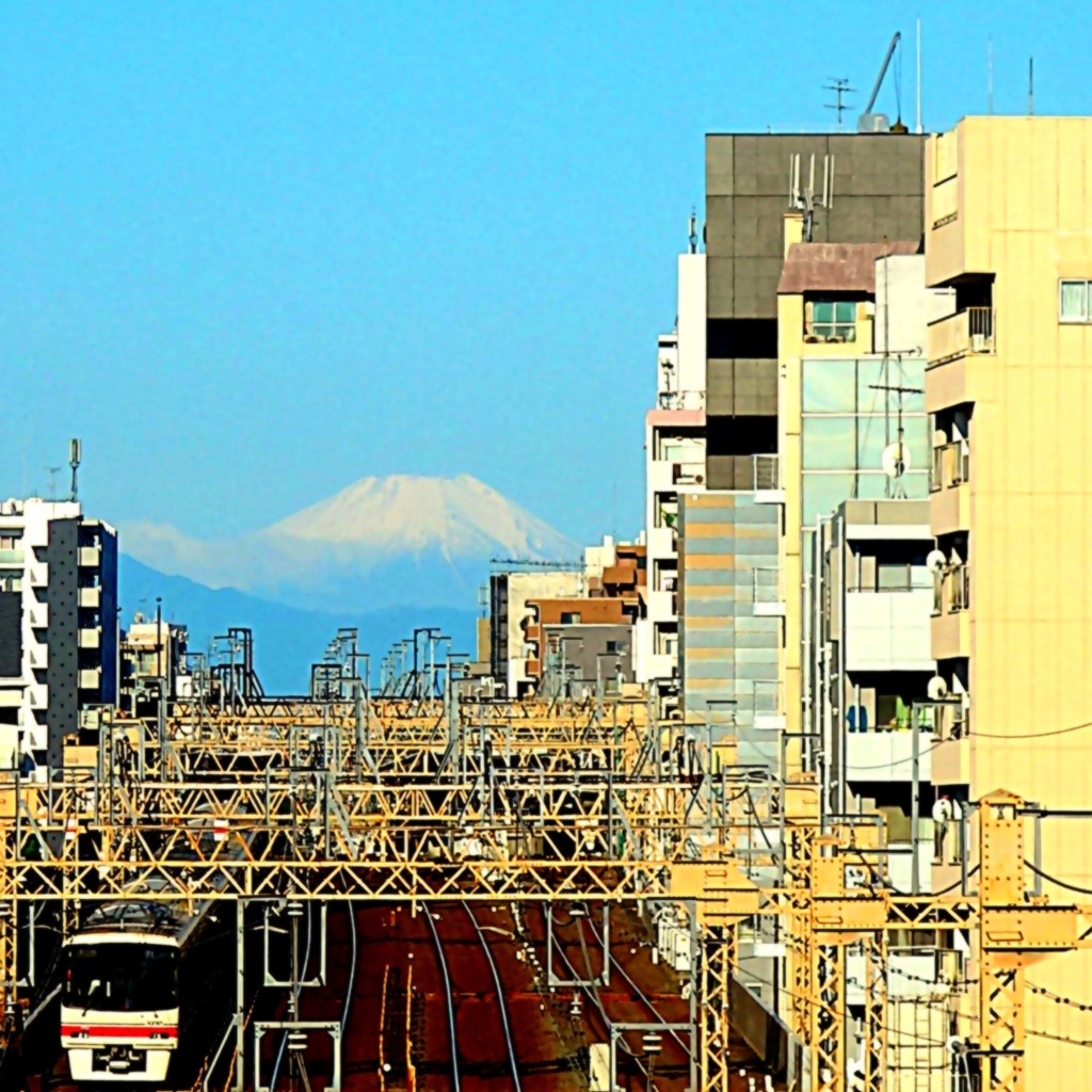 今朝の富士山