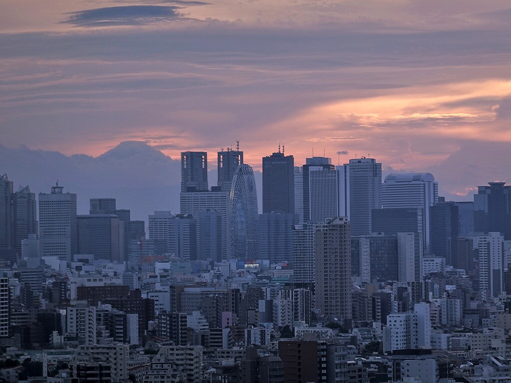 新宿摩天楼と富士山