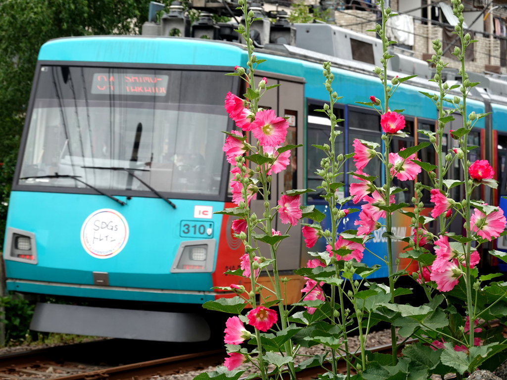 花と電車