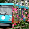 花と電車