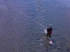 釣人