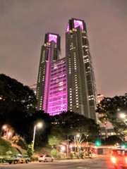 都庁ピンクライトアップ