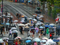 雨の渋谷
