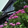 紫陽花と旧島田家住宅