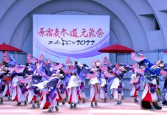 原宿表参道元氣祭スーパーよさこい2022