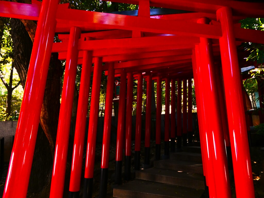 千本鳥居