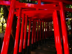 千本鳥居