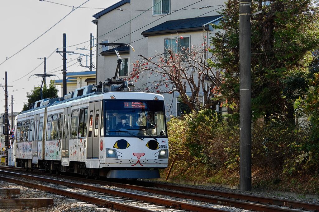 招き猫電車