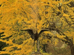鶴の噴水と銀杏の黄葉 