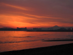 葛西臨海公園の夕景