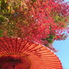 紅葉と和傘