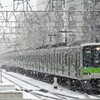 今日の雪