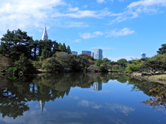 中の池の風景