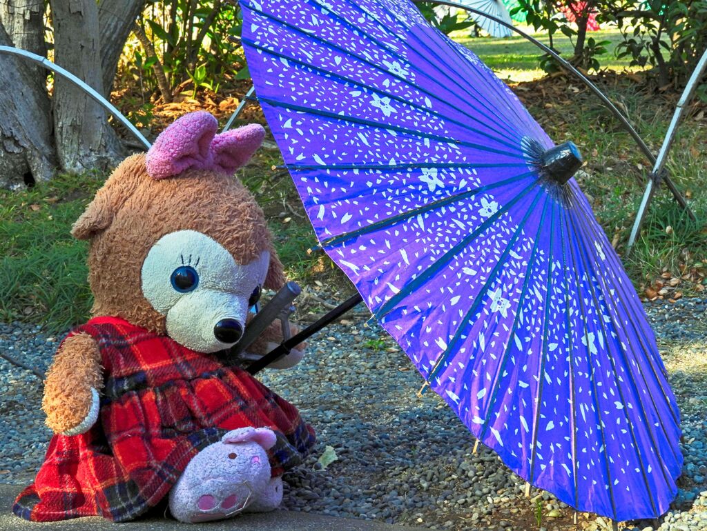 ダッフィーと和傘
