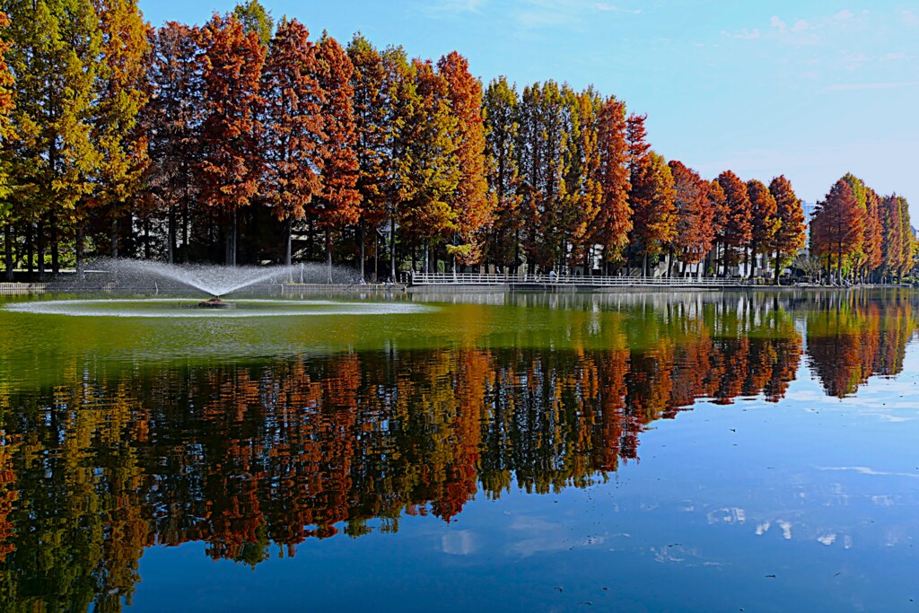 別所沼紅葉風景