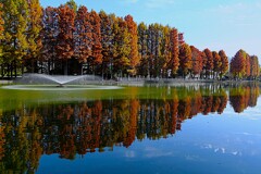 別所沼紅葉風景