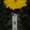 御紋章菊