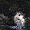 スポットライトを浴びて