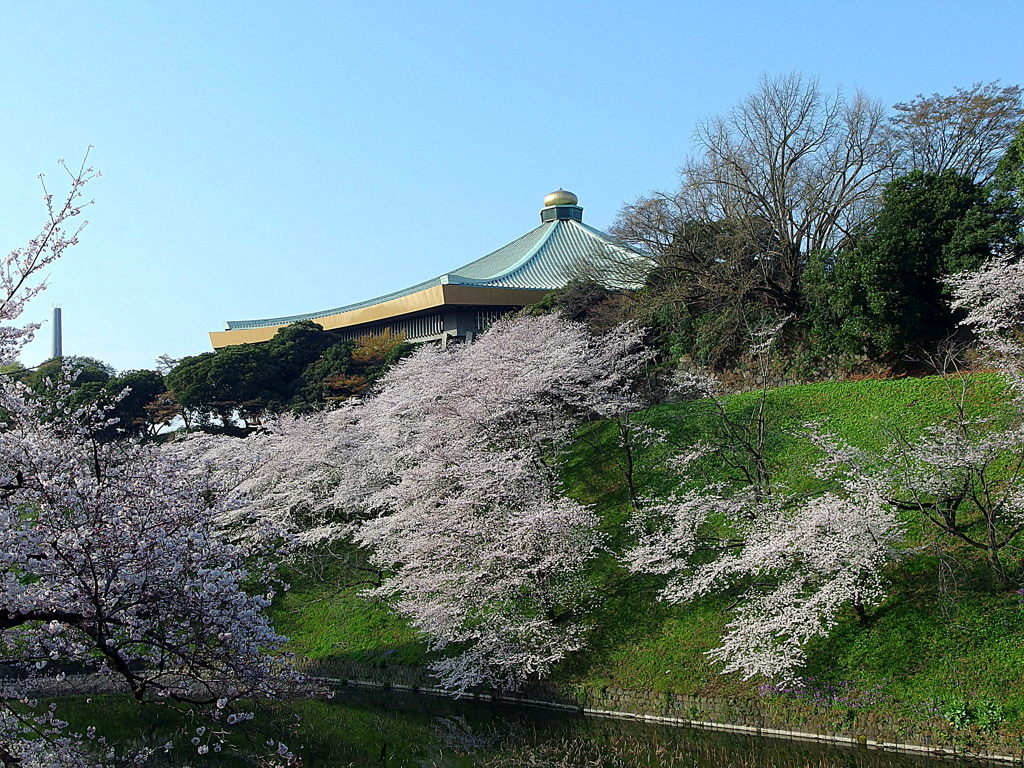 日本武道館と桜 By Sam777 Id 写真共有サイト Photohito