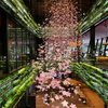YANMAR TOKYO