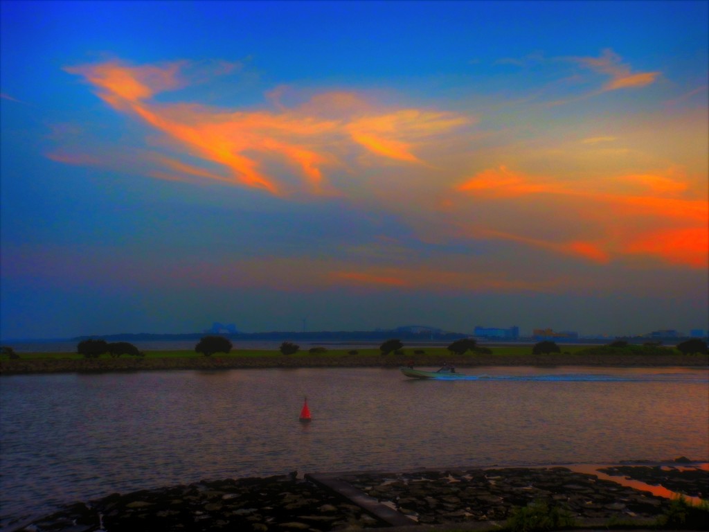 葛西臨海公園の夕焼け