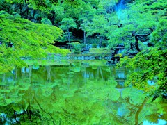 日比谷公園雲形池の風景