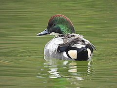 振り返ってくれた