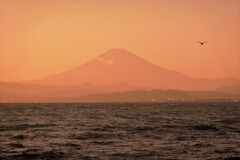 江の島にて