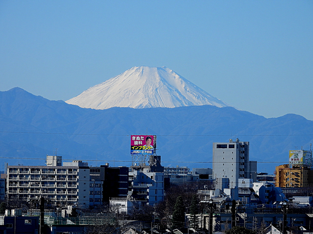 作日の富士山