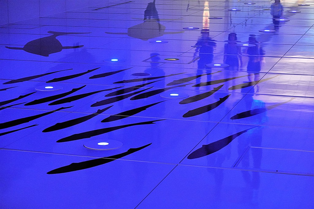 水中ウォーク