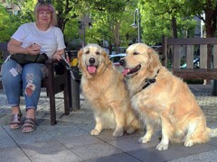 A woman, her dogs